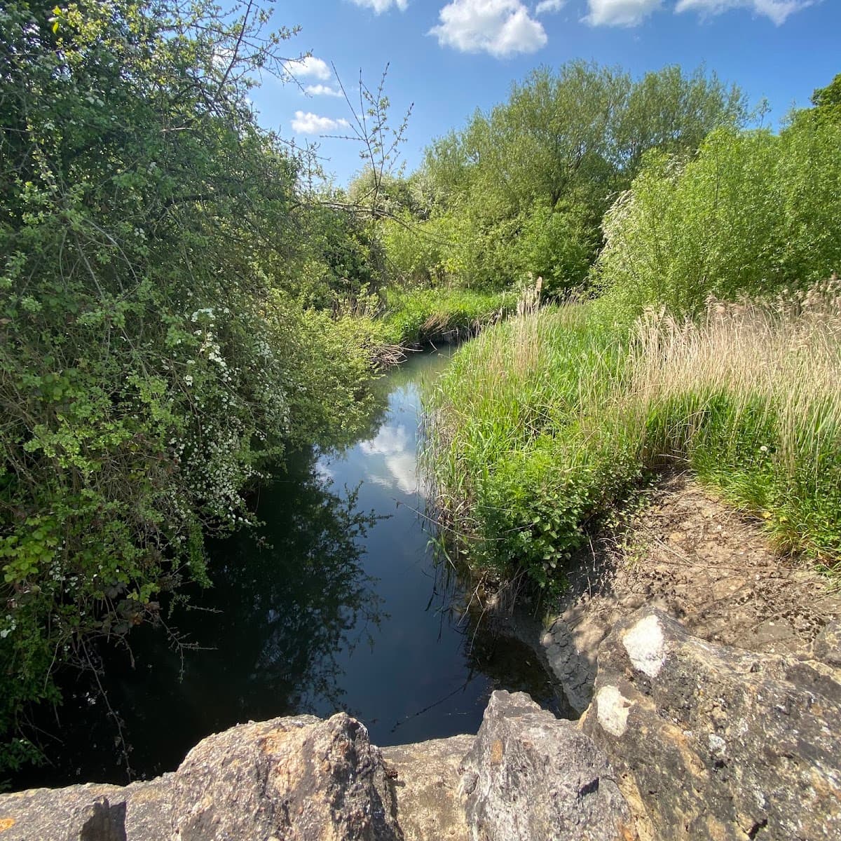 Three Brooks Local Nature Reserve - Image 2