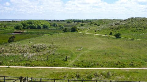 Saltfleetby-Theddlethorpe Dunes National Nature Reserve - Main view