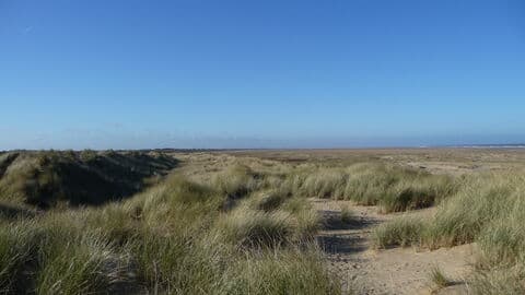Saltfleetby-Theddlethorpe Dunes National Nature Reserve - Image 2