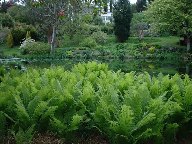 Marwood Hill Gardens - Image 3