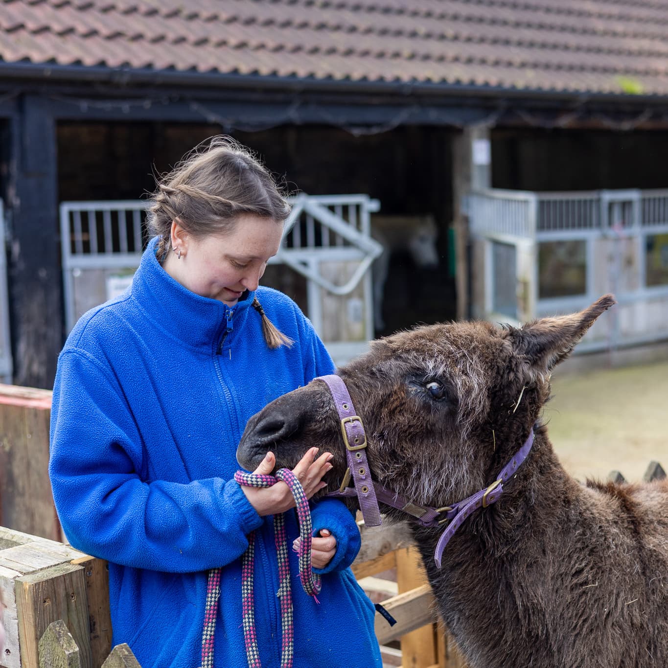 Lee Valley Animal Adventure Park - Image 4