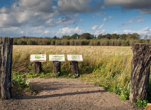 Great Fen - Image 2