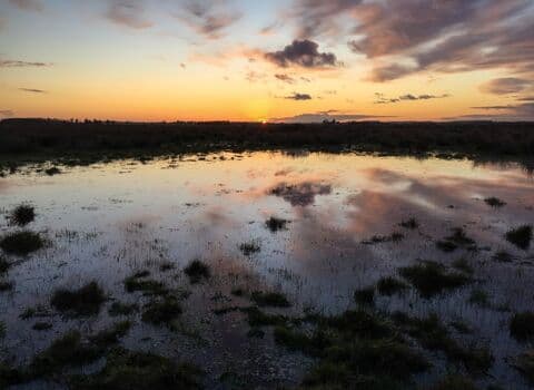 Great Fen - Image 3