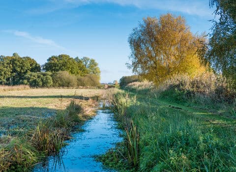 Great Fen - Image 4