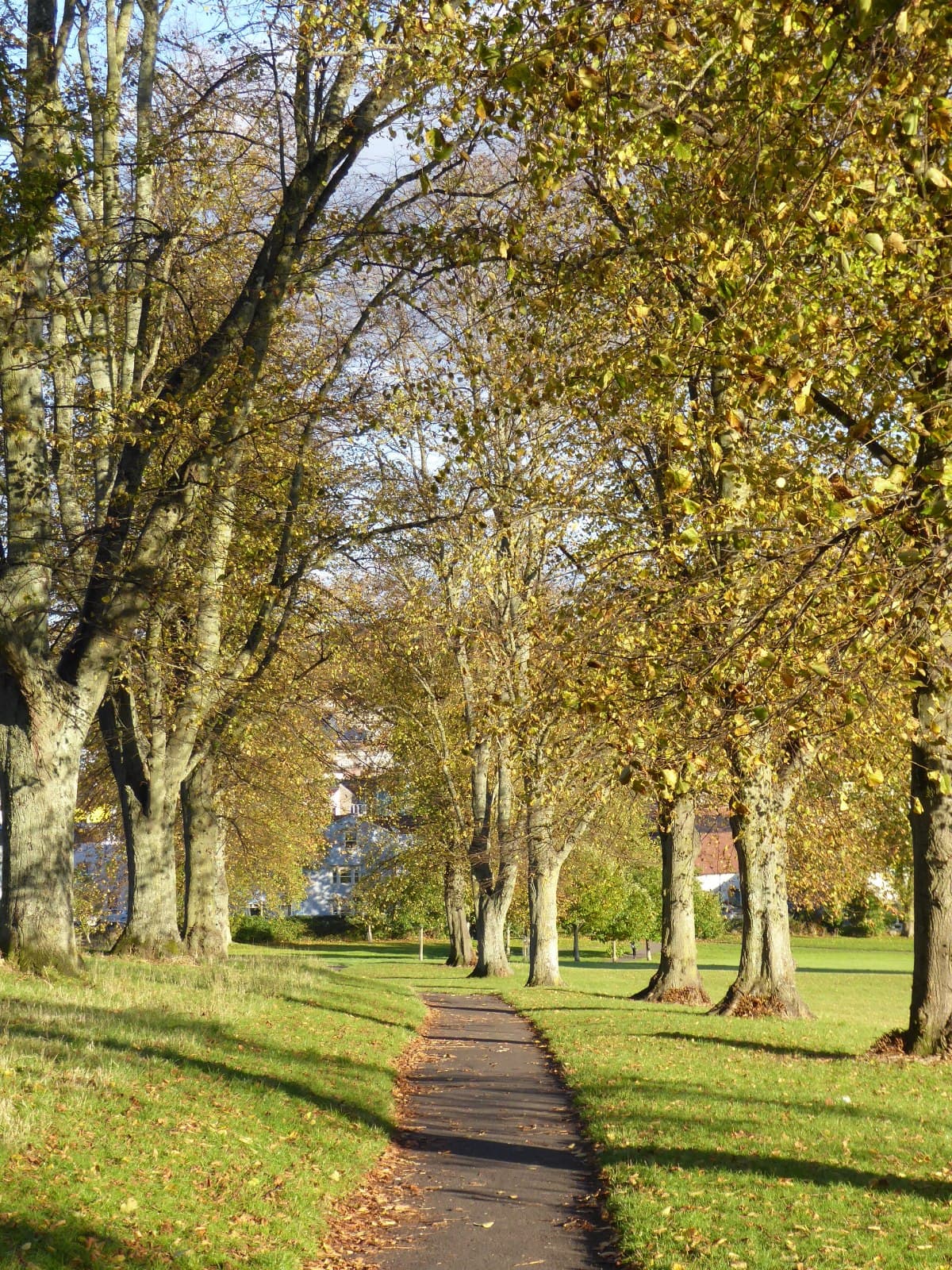 Victoria Park - Image 2