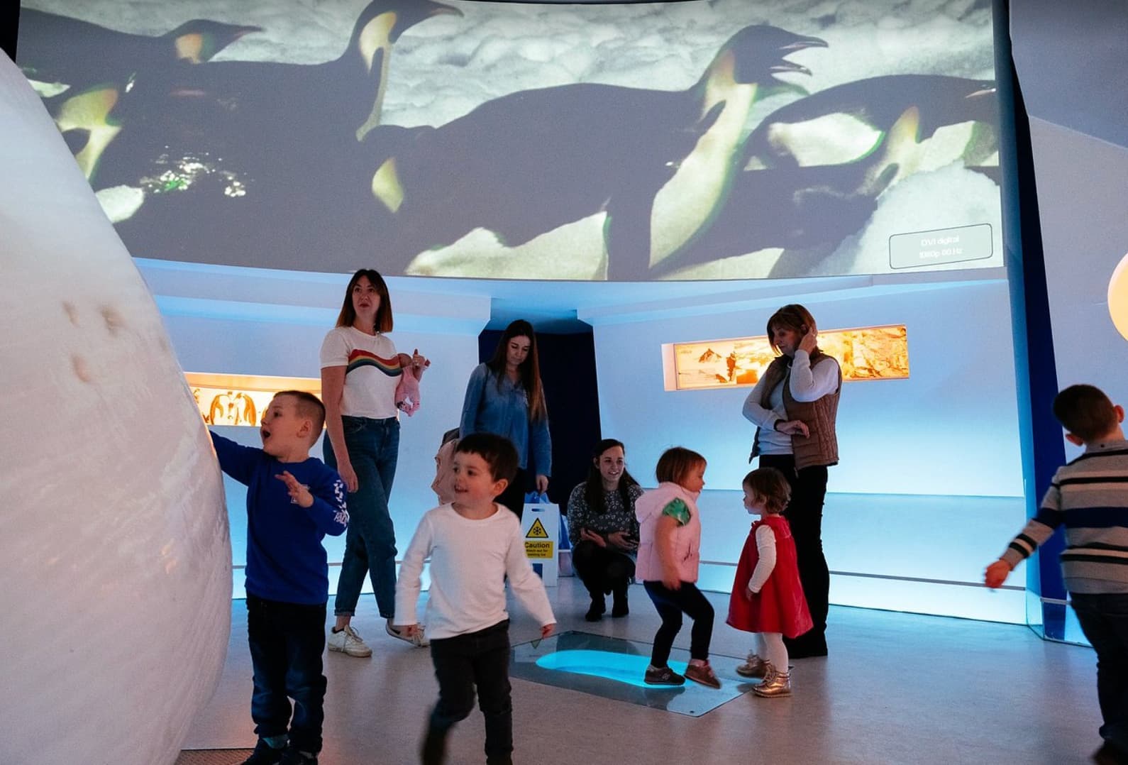 Dynamic Earth - Image 5