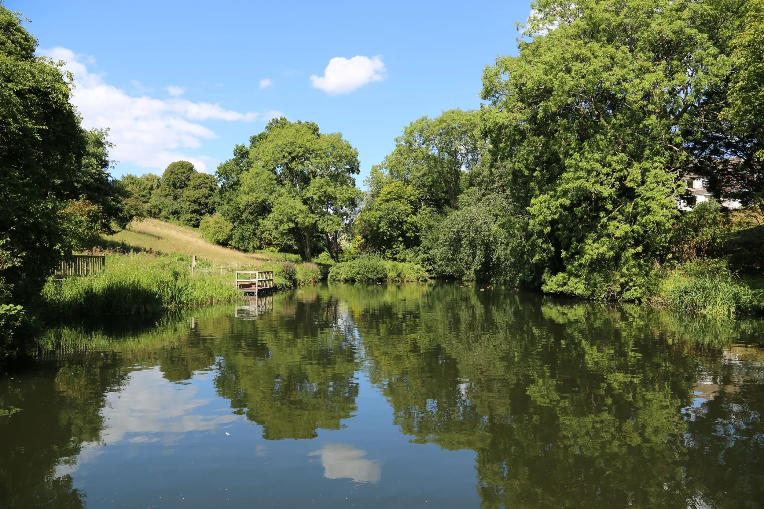 Old Sneed Park Nature Reserve - Image 1