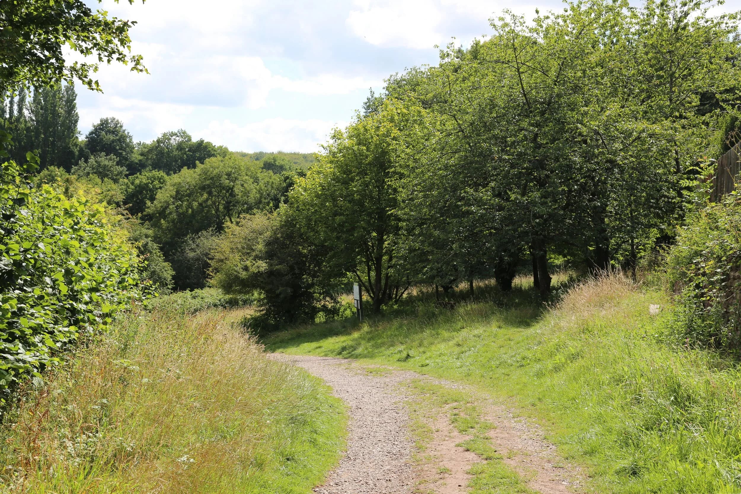 Old Sneed Park Nature Reserve - Image 2