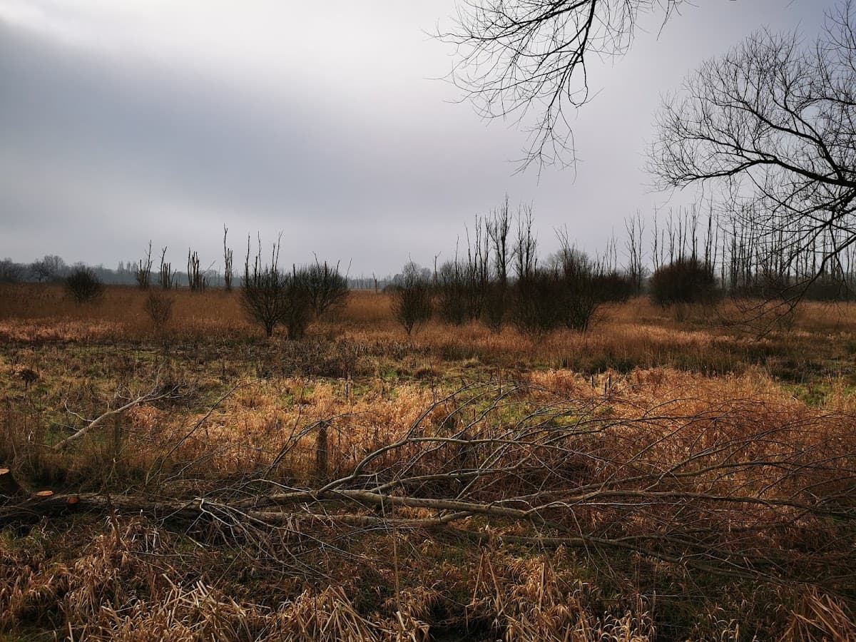 Fishlake Meadows Nature Reserve - Image 2
