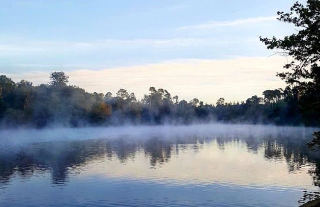 Black Park Country Park - Image 5