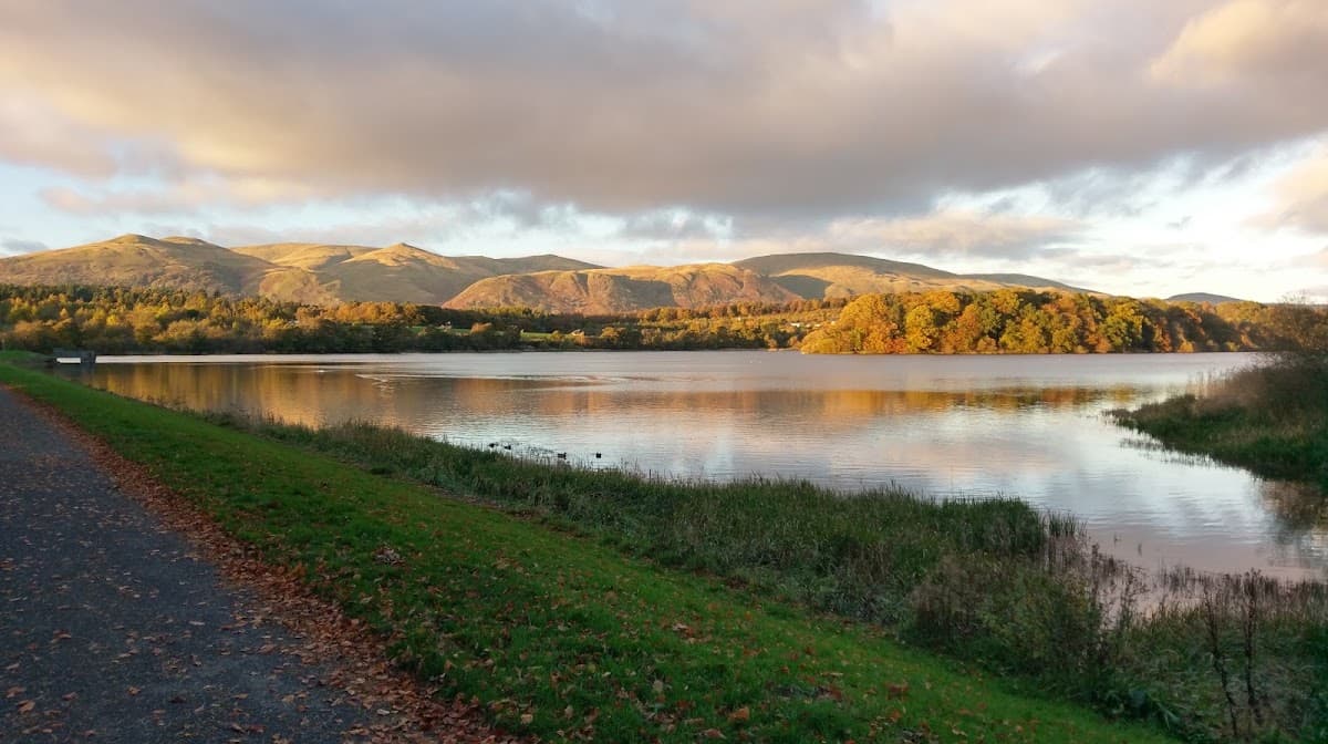 Gartmorn Dam Country Park - Image 2