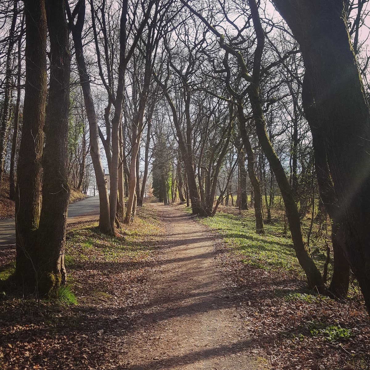 Gartmorn Dam Country Park - Image 5