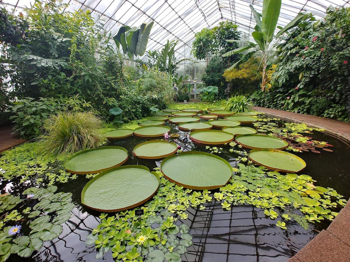 Royal Botanic Garden Edinburgh - Image 2