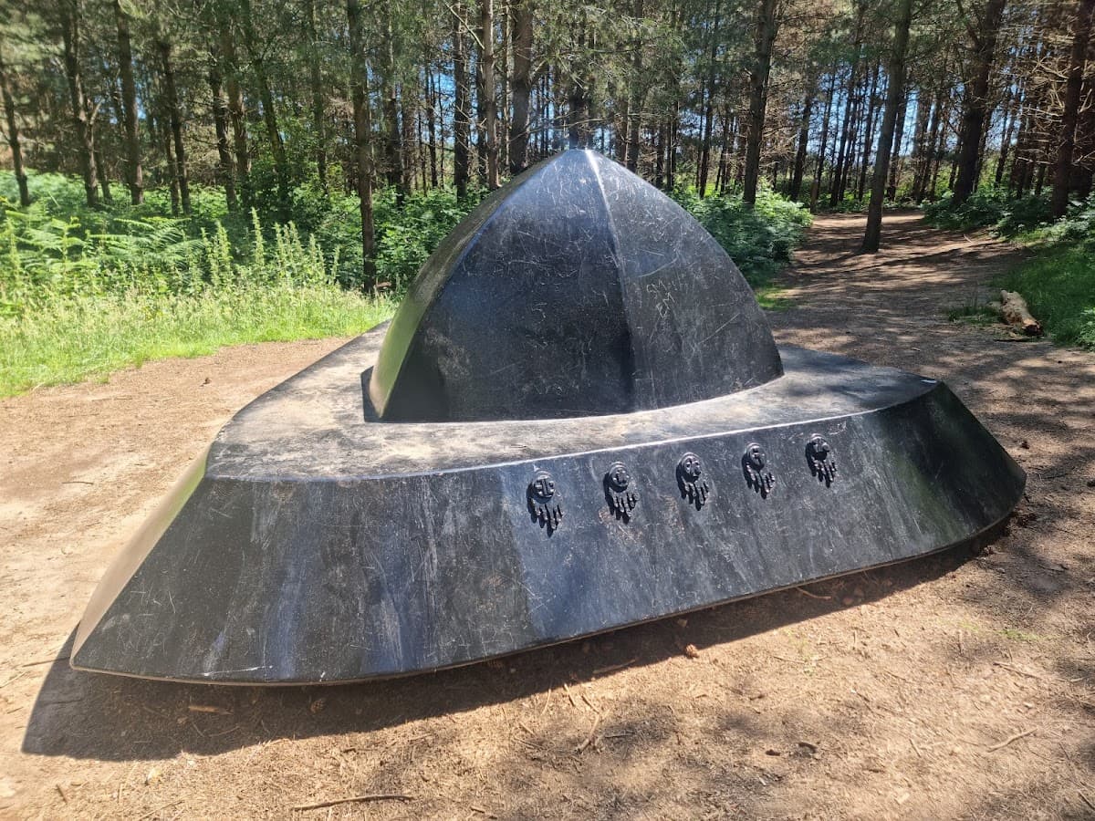 Rendlesham Forest - Main view