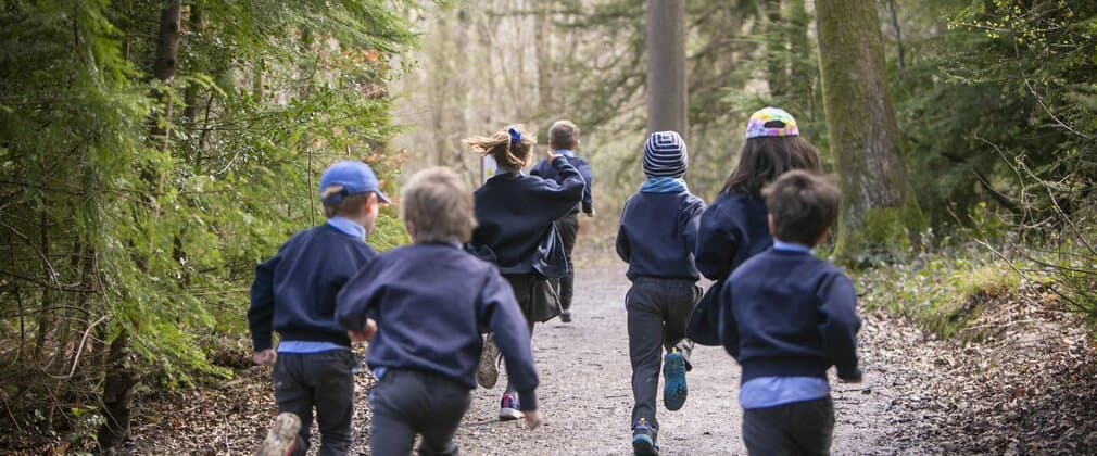 Rendlesham Forest - Image 2