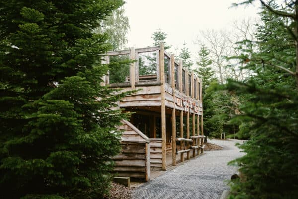 The Plotters’ Forest at Raby Castle, Park and Gardens - Image 2