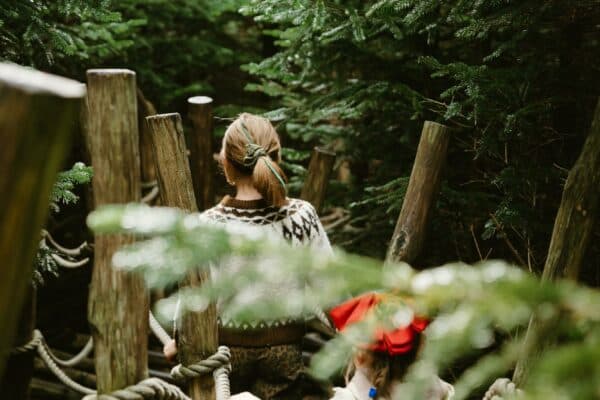 The Plotters’ Forest at Raby Castle, Park and Gardens - Image 3