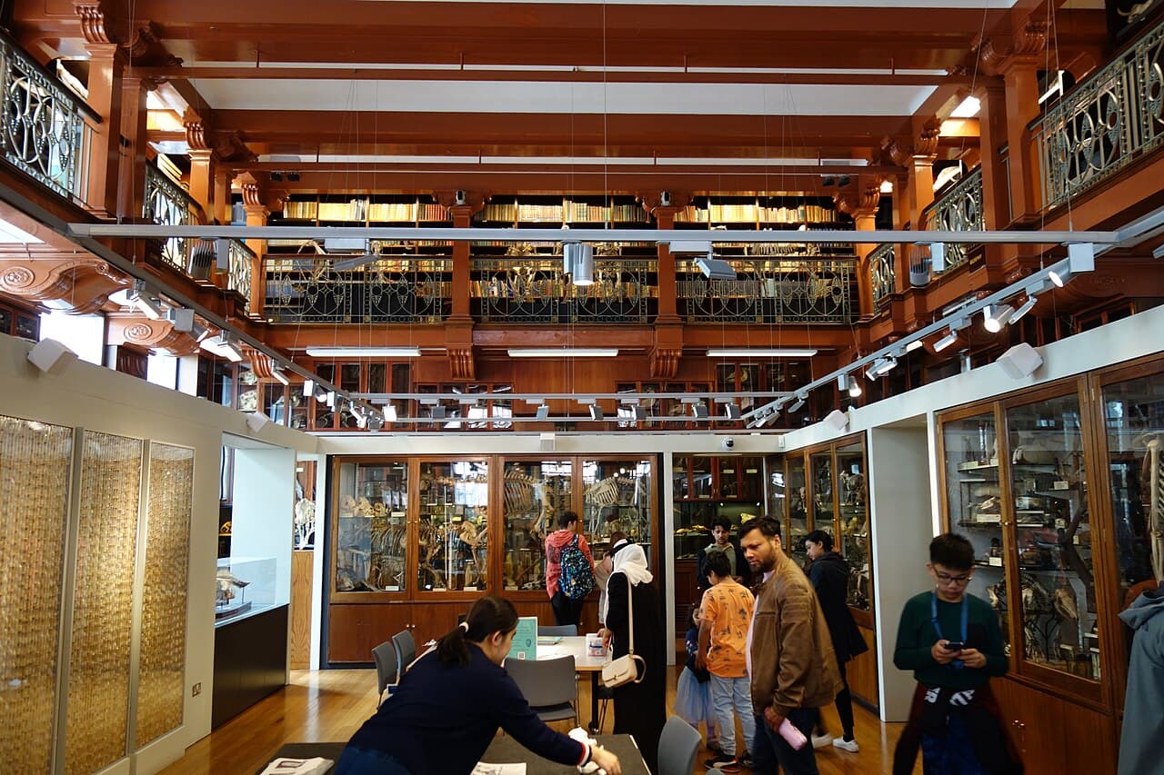 Grant Museum of Zoology - Image 2
