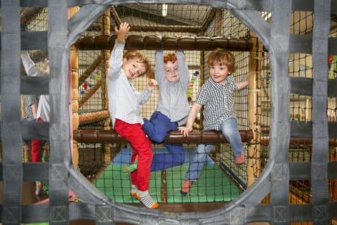 Apley Farm Shop, Food Hall, Kitchen Cafe & Playbarn - Image 4