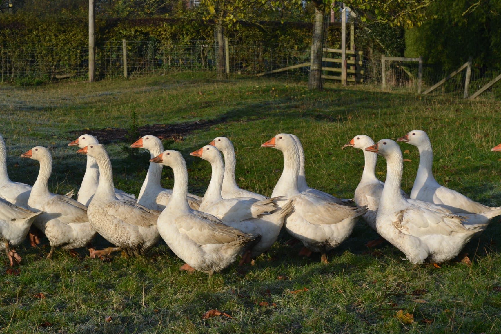 Lower Clopton Farm Shop - Main view