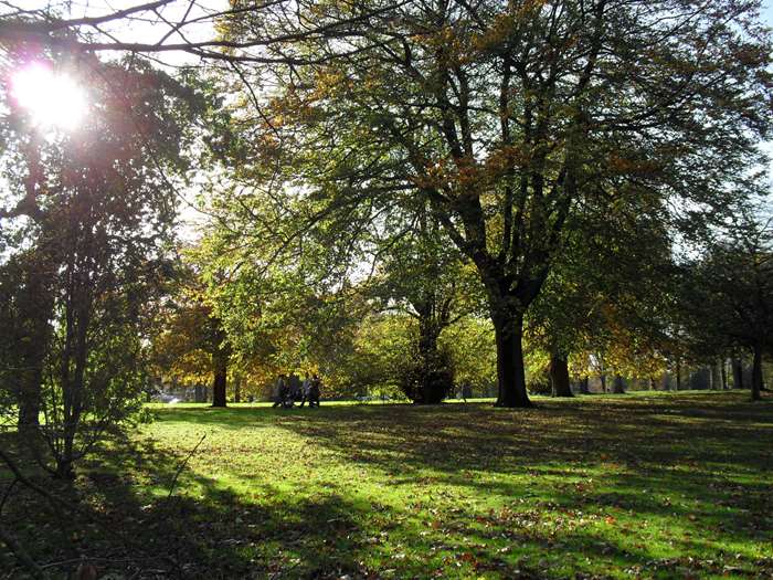 Ryelands Park - Image 2
