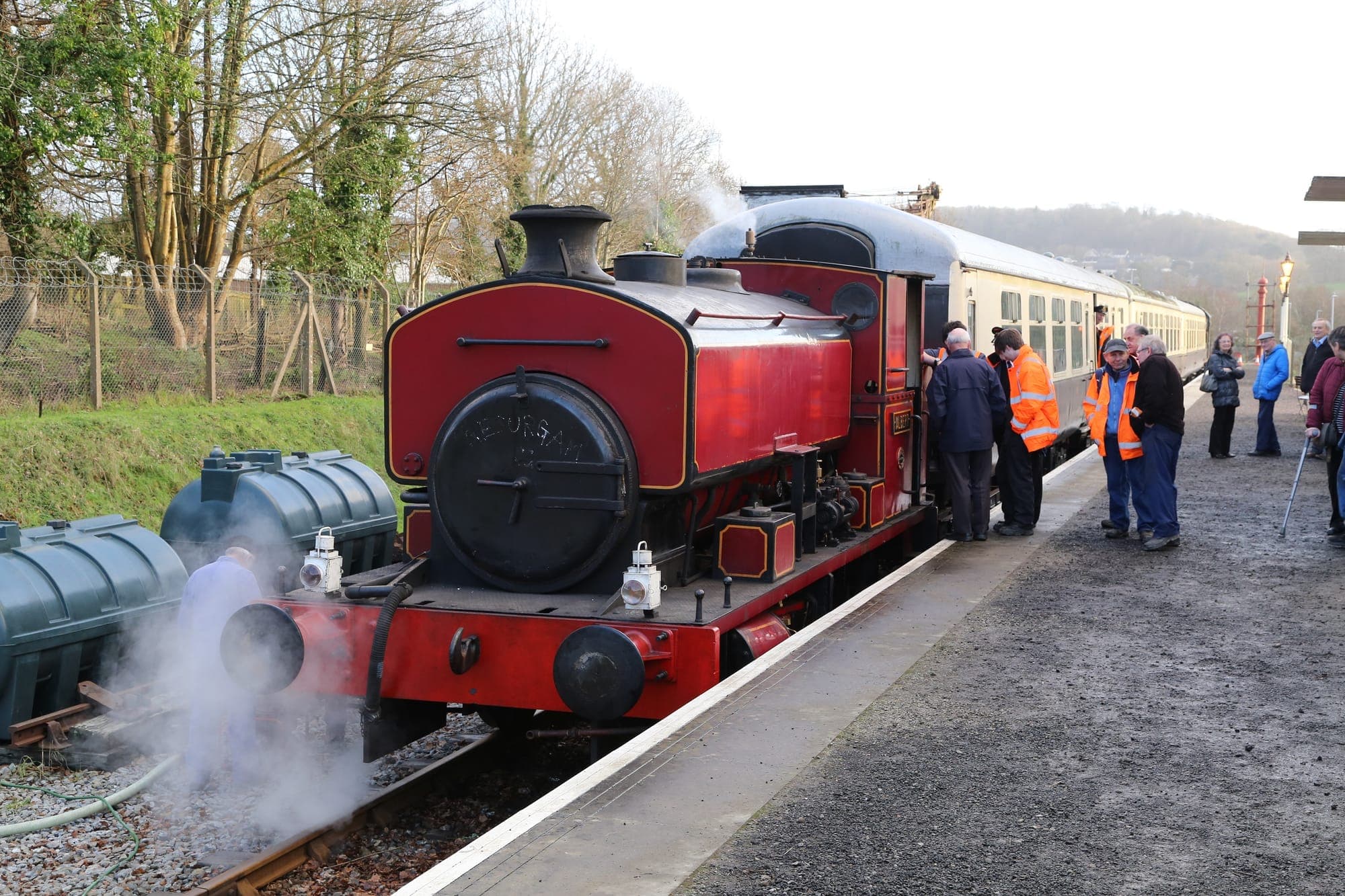 Plym Valley Railway - Main view
