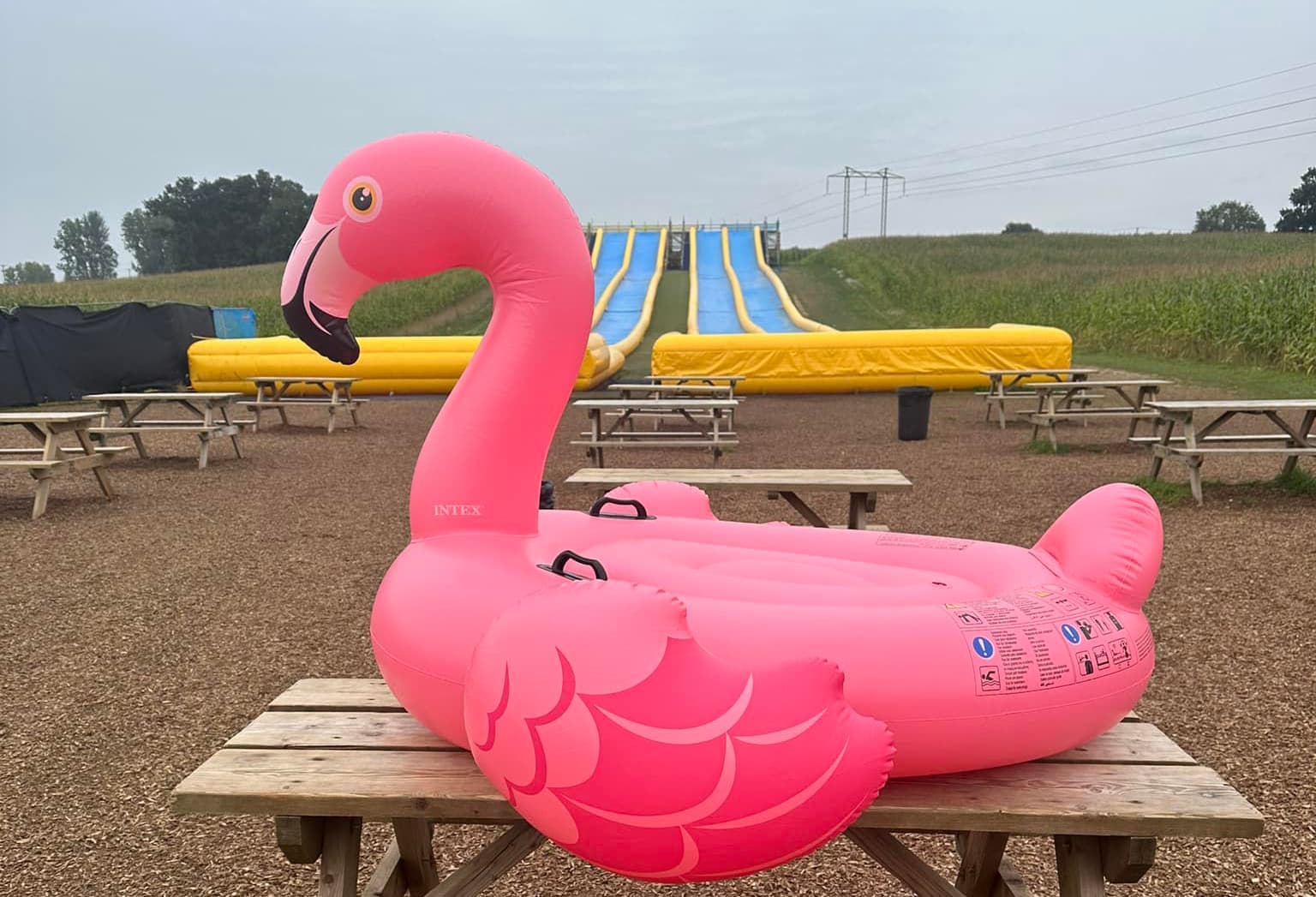 Mega Slip and Slide Cornwall - Main view