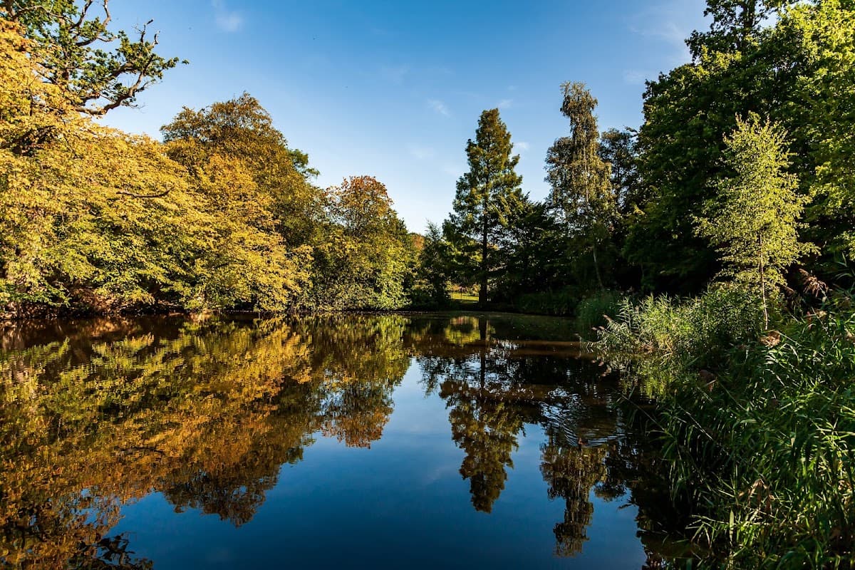 Danbury Country Park - Main view
