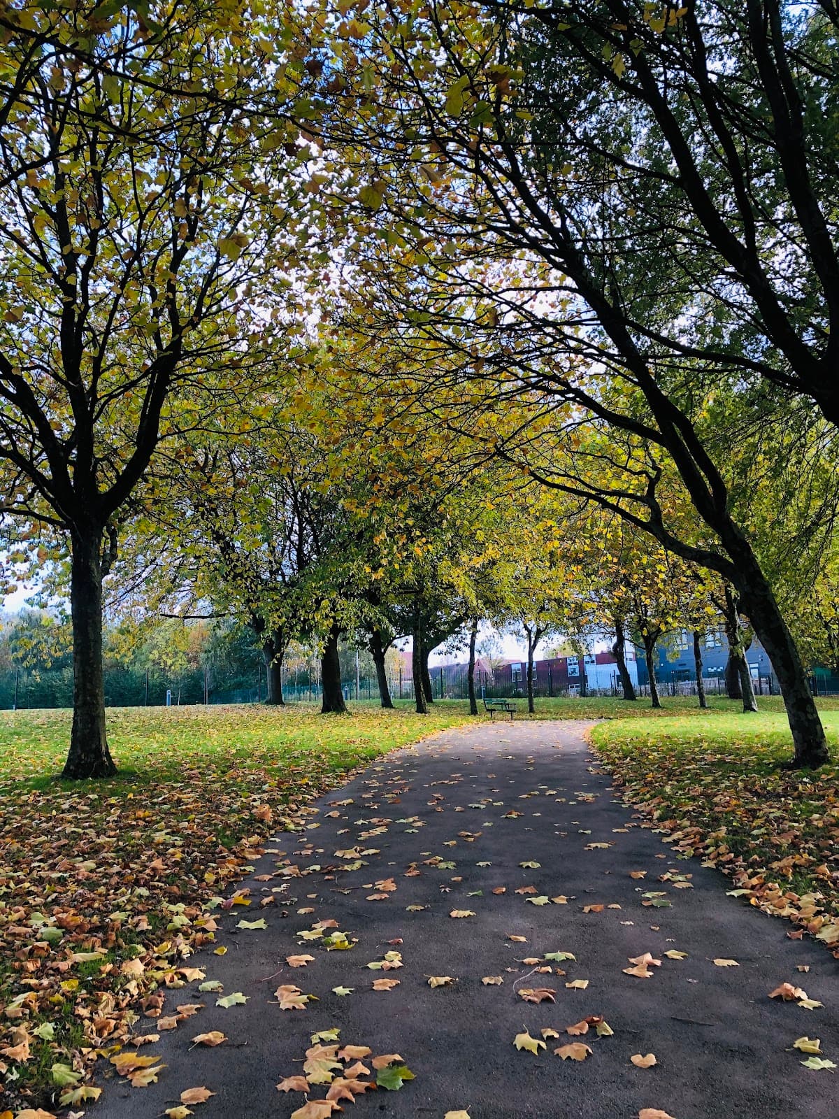 Victoria Park - Image 2