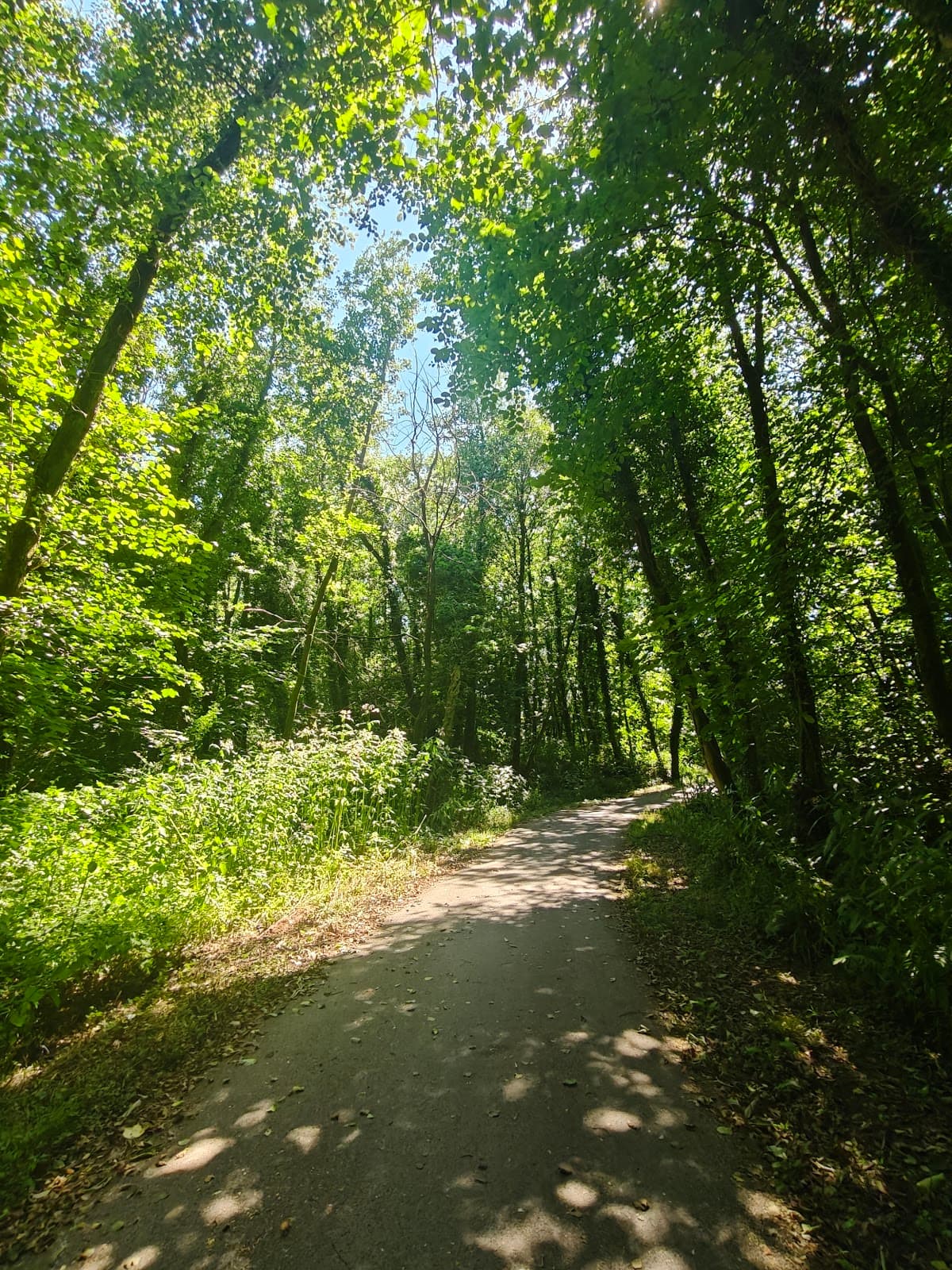 Pontardawe Riverside Park - Image 2