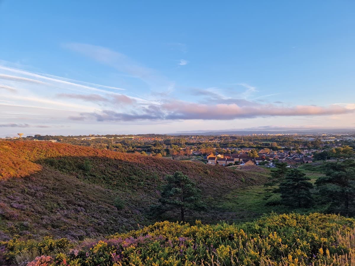 Canford Heath Nature Reserve - Main view