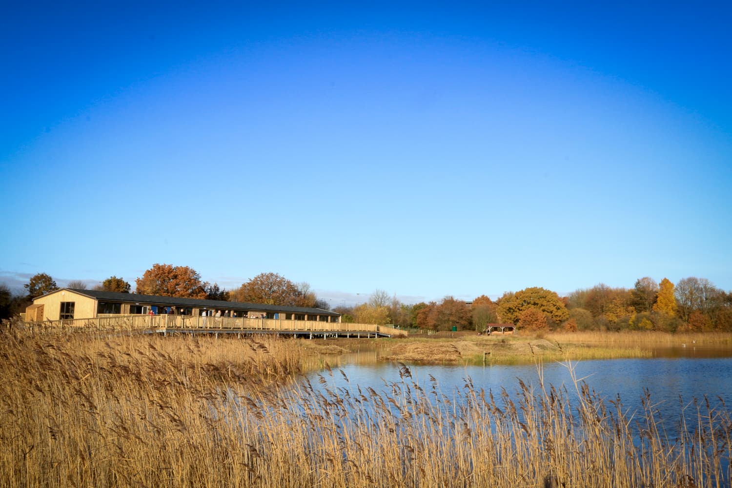Brockadale Nature Reserve - Image 1