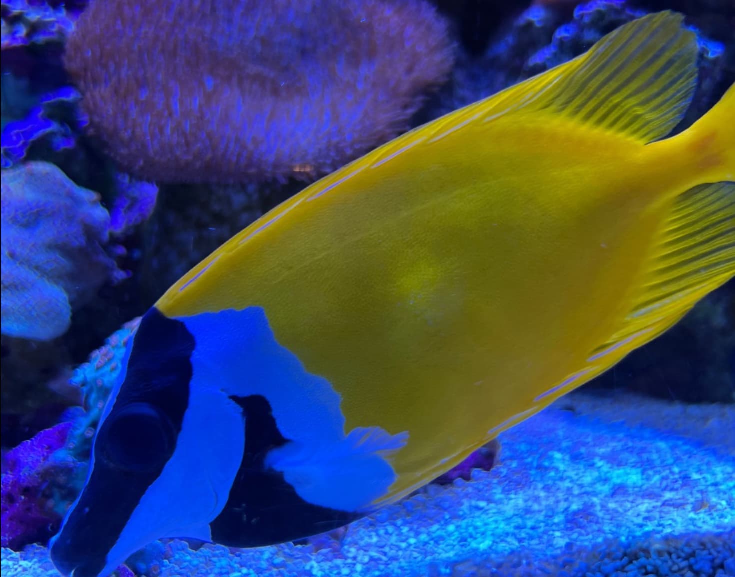 Deep Sea World - Main view
