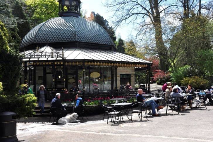 Valley Gardens - Image 3