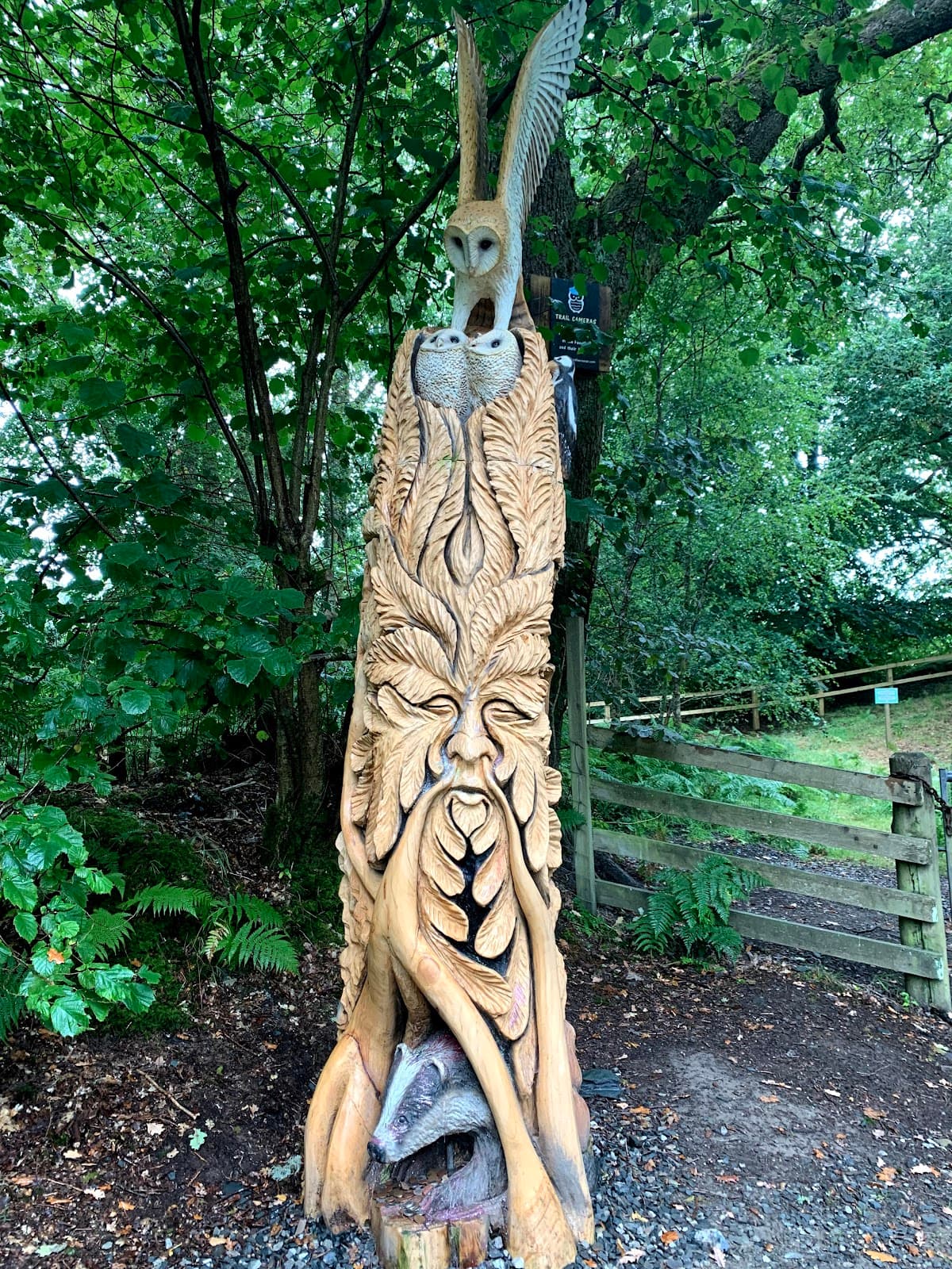 Loch Lomond Faerie Trail - Image 5
