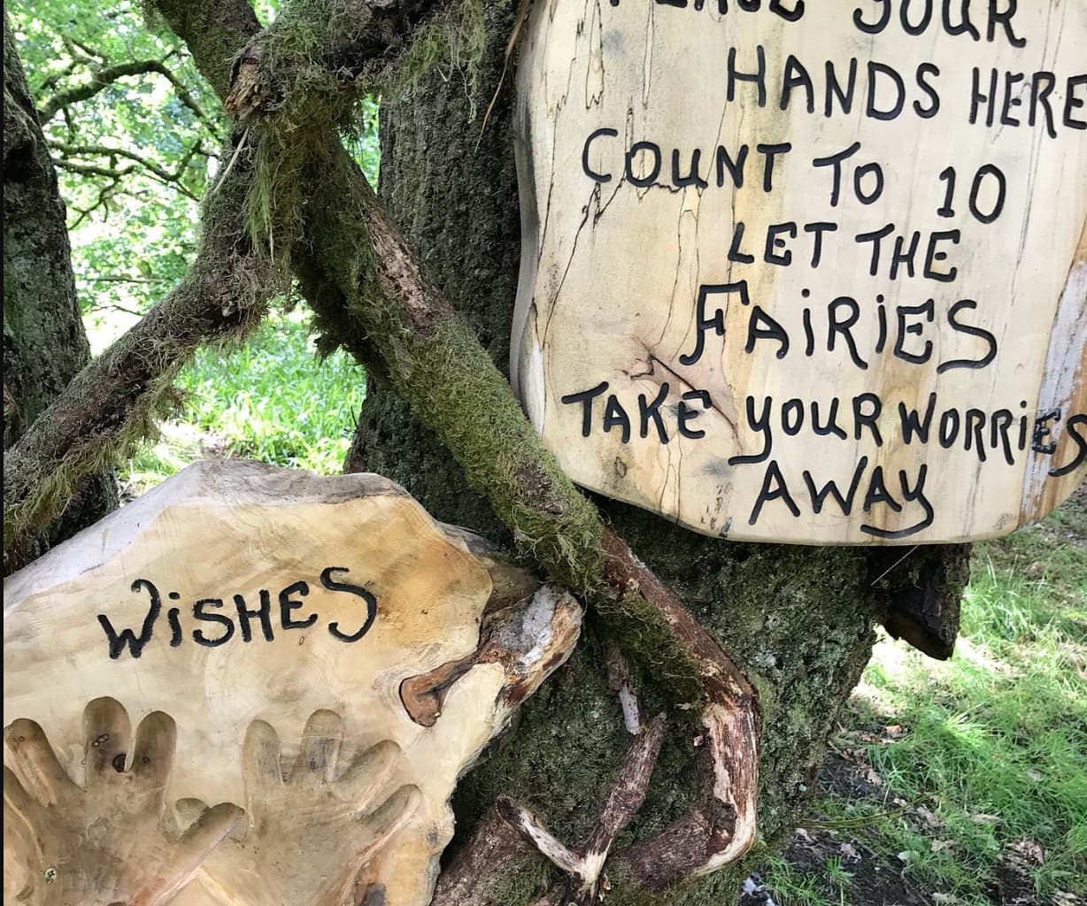 Loch Lomond Faerie Trail - Image 3