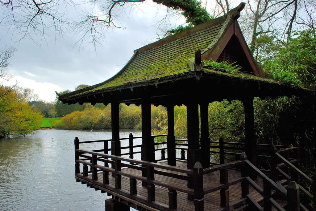 Saumarez Park - Image 3