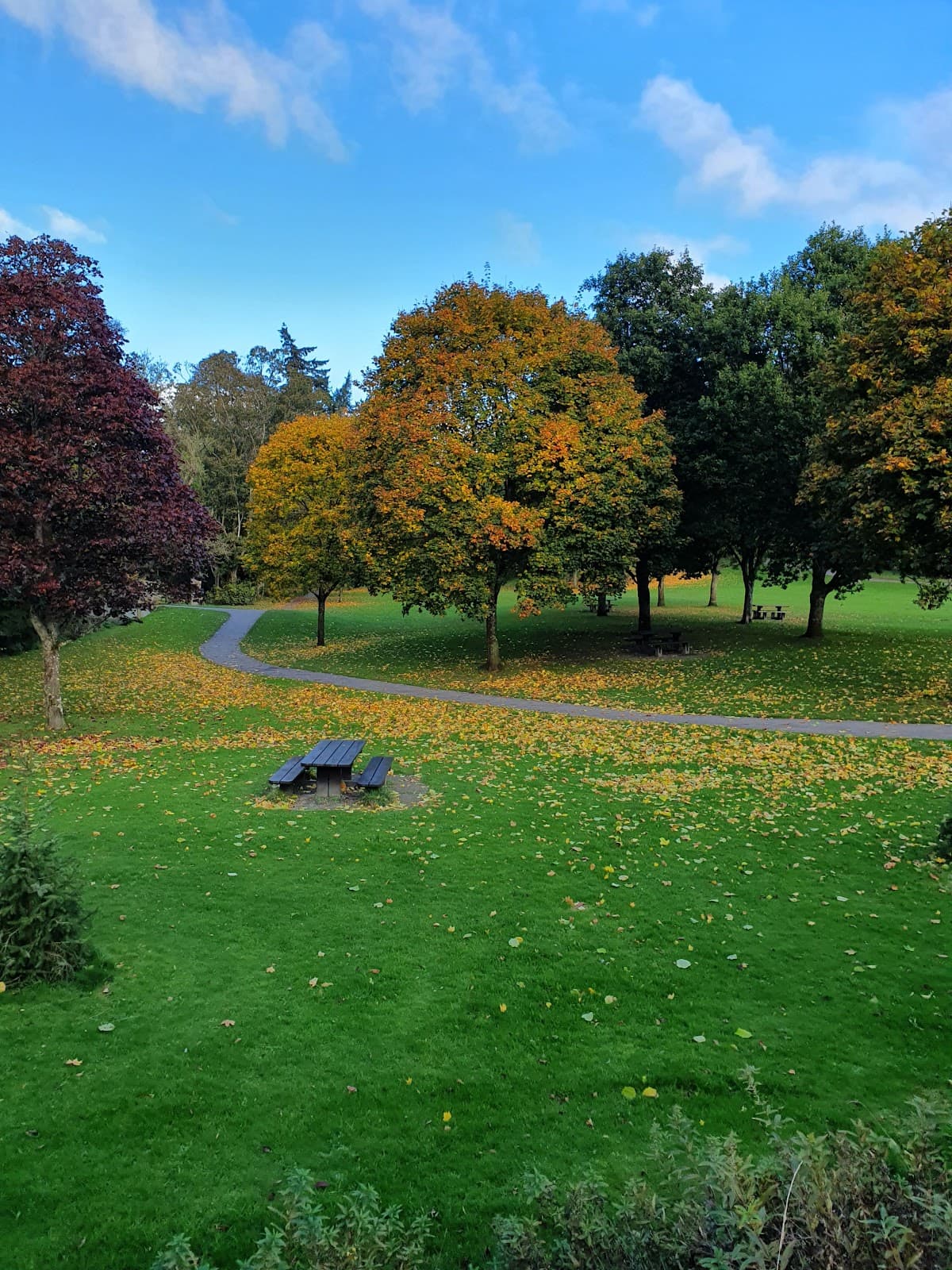 MacRosty Park - Image 5