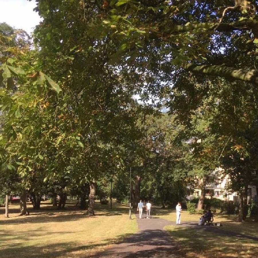 Rush Common - Main view