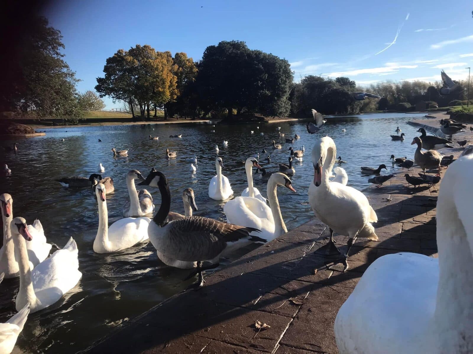 Cleethorpes Boating Lake - Image 1