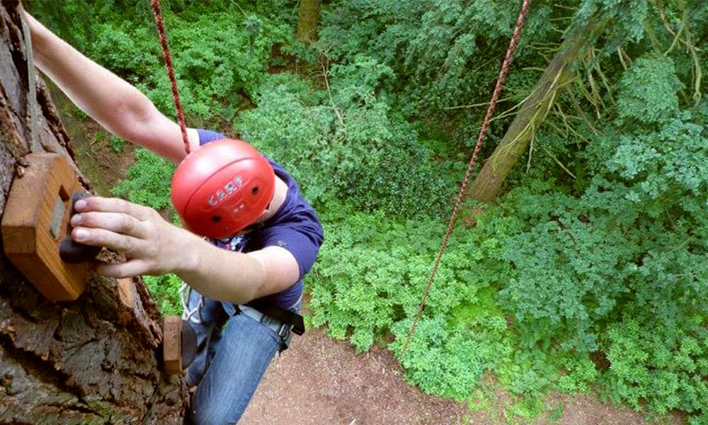 ExTREEme Adventure - Image 1