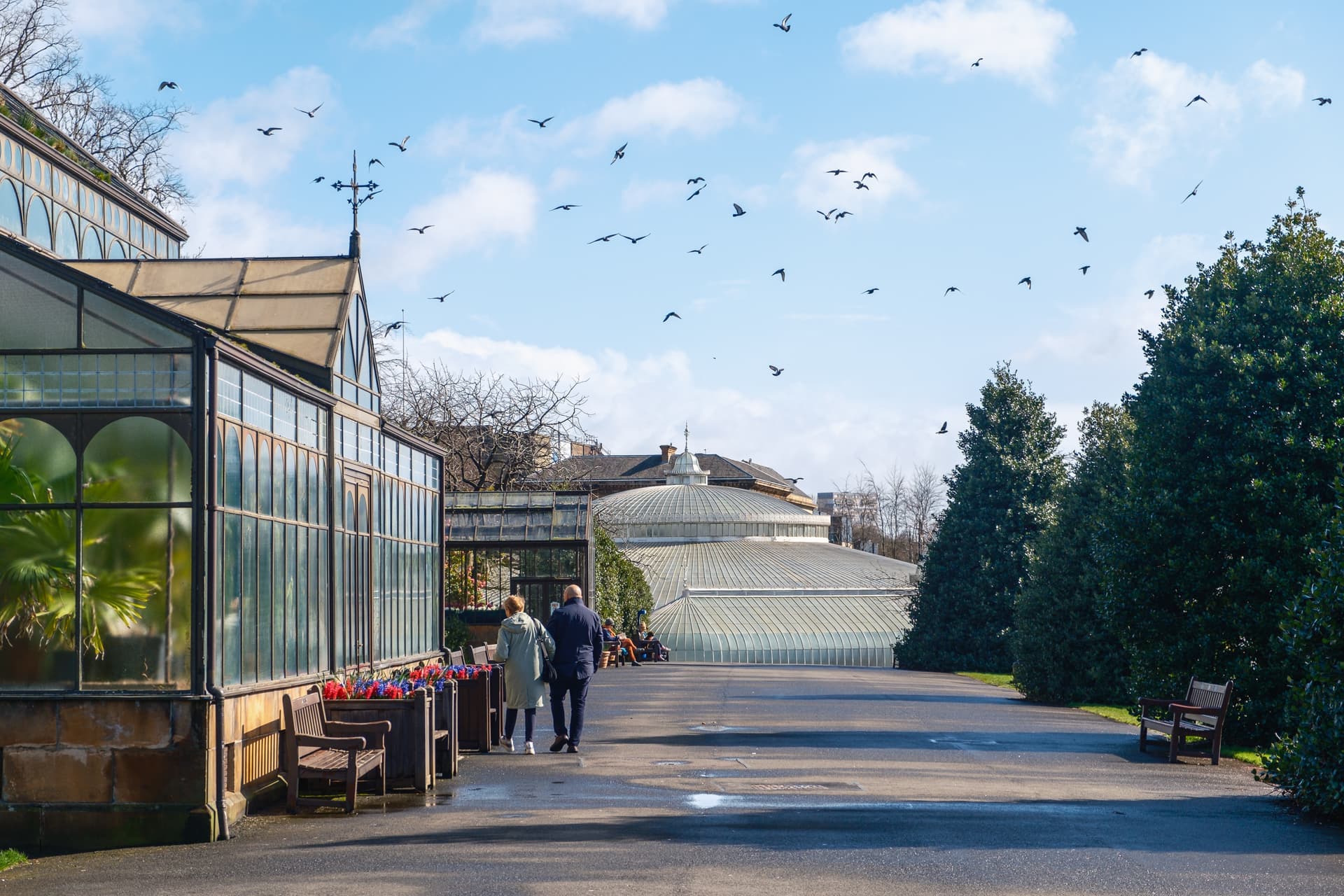 Glasgow Botanic Gardens - Image 2