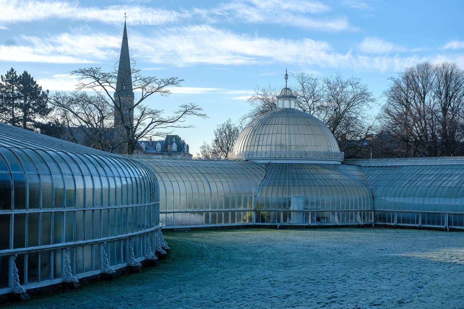 Glasgow Botanic Gardens - Image 4