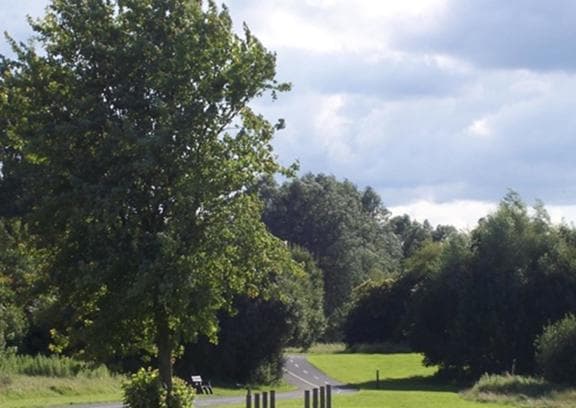 Lurgan Park - Image 4