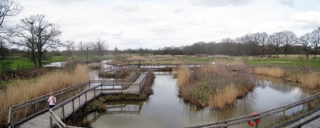 British Wildlife Centre - Main view