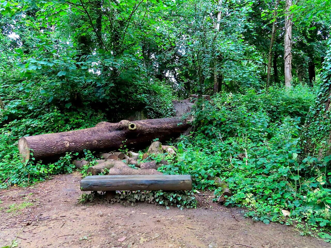 C S Lewis Nature Reserve - Image 2