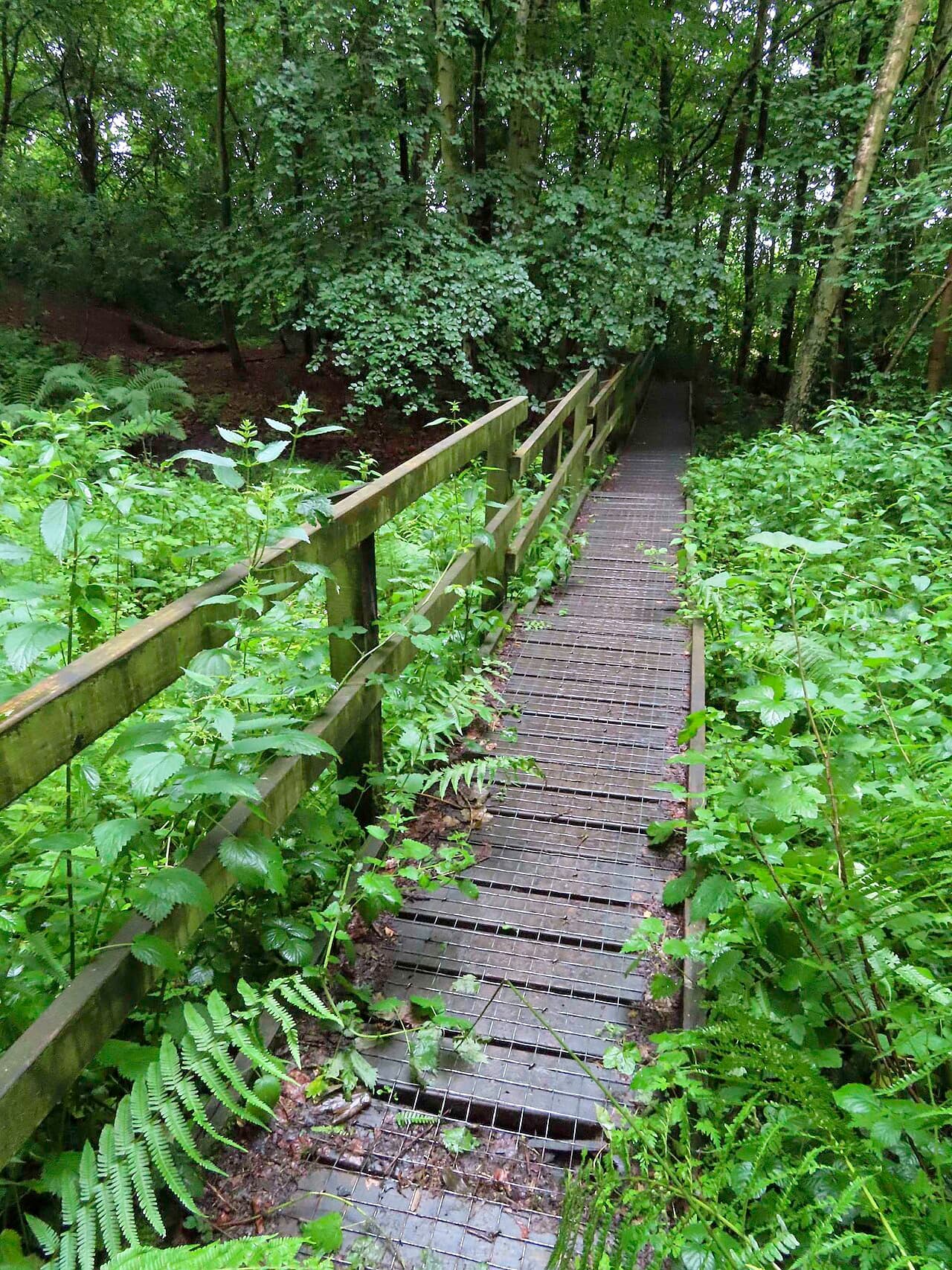 C S Lewis Nature Reserve - Image 3