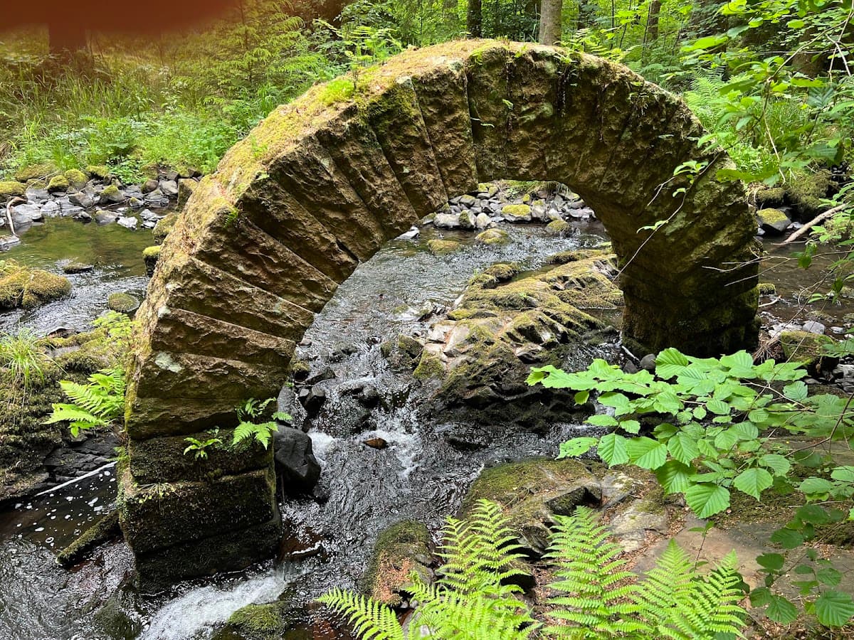 Drumlanrig Castle & Gardens - Image 2