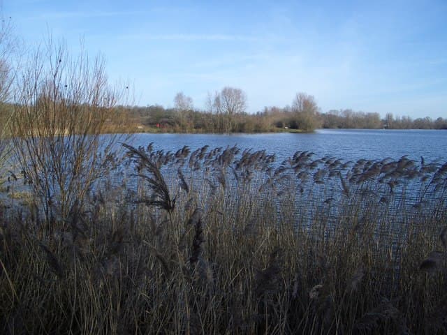 Harrold Odell Country Park - Image 2