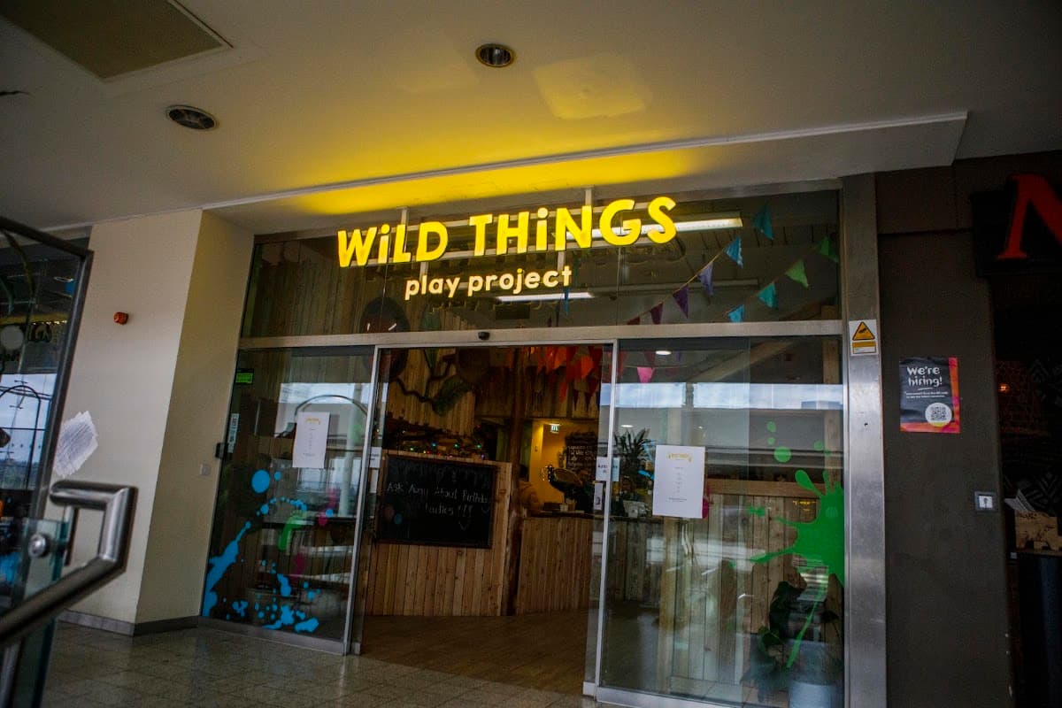 Wild Things Play Project Bristol - Main view